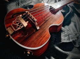 Acousta-Elecktra Rosewood-Mahog. Bass Fiddle 124 Pics & Info.ppp.pdf